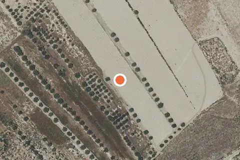 Imagen de Terreno en Murcia