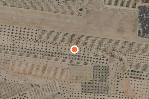 Imagen de 3 terrenos en Sisante