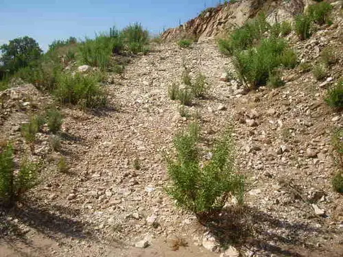 Imagen de Terreno en Ojen
