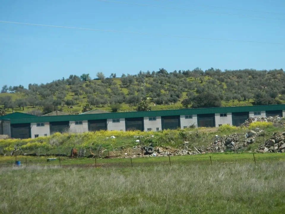 Imagen de Terreno en Alanis