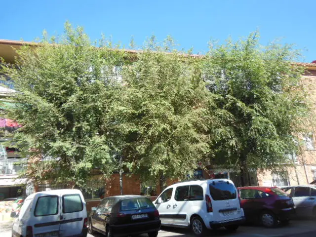 Imagen de Vivienda en Azuqueca de Henares